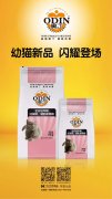 奧丁精品幼貓糧閃耀登場?。?！